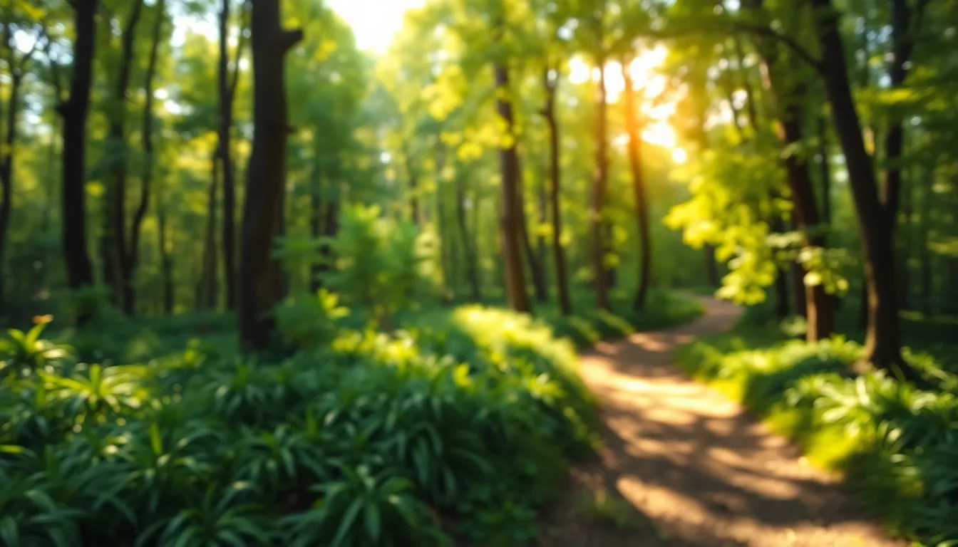 비트코인 투자 전략